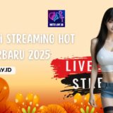 Aplikasi Streaming